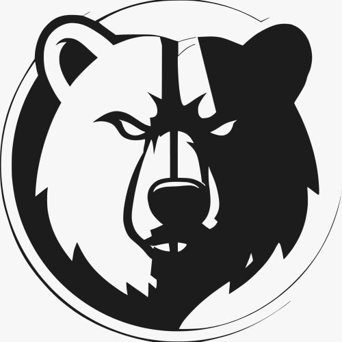 BlackBear AI: Como a Inteligência Artificial e a Automação Estão Transformando Empresas